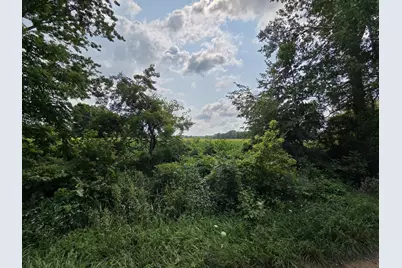 13 Mile Rd (Parcel 5), Burlington, MI 49029 - Photo 3