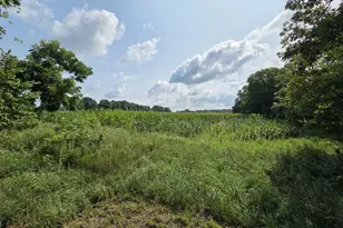 13 Mile Rd (Parcel 5), Burlington, MI 49029 - Photo 1