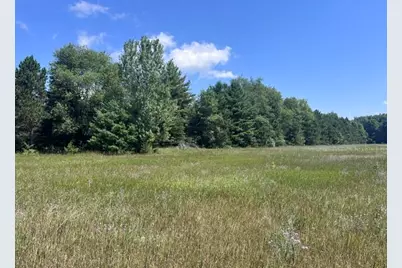 14.7 Acres Erdman Road, Bear Lake, MI 49614 - Photo 7