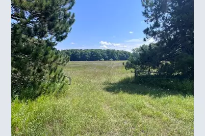 14.7 Acres Erdman Road, Bear Lake, MI 49614 - Photo 3