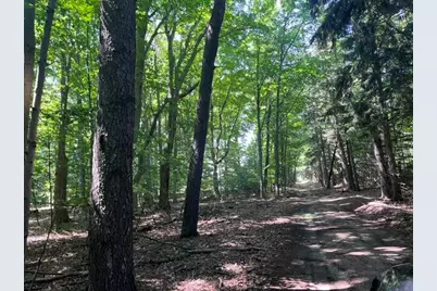 14.7 Acres Erdman Road, Bear Lake, MI 49614 - Photo 21