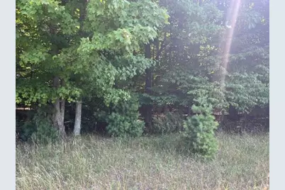 14.7 Acres Erdman Road, Bear Lake, MI 49614 - Photo 9
