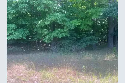 14.7 Acres Erdman Road, Bear Lake, MI 49614 - Photo 11