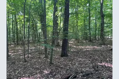 14.7 Acres Erdman Road, Bear Lake, MI 49614 - Photo 19