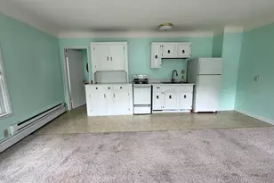 9757 W M-50, Onsted, MI 49265 - Photo 19