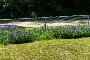 9260 N 45th St, Augusta, MI 49012 - Photo 21