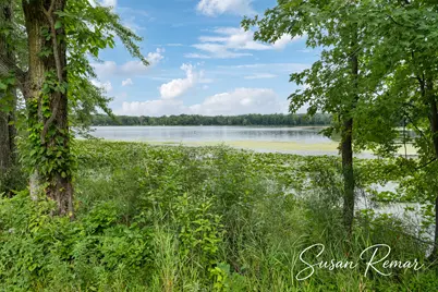 V/L Thornapple Lake Road, Nashville, MI 49073 - Photo 3