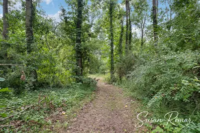 V/L Thornapple Lake Road, Nashville, MI 49073 - Photo 11
