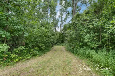 V/L Thornapple Lake Road, Nashville, MI 49073 - Photo 9