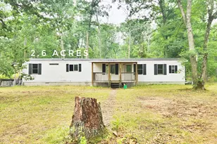 2314 W 15 Mile Rd, Bitely, MI 49309 - Photo 1