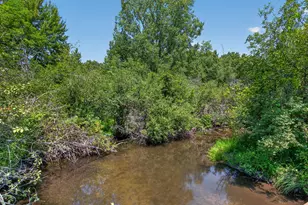 210 Union, Horton, MI 49246 - Photo 57