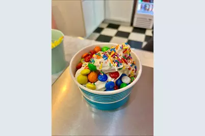 Pentwater Froyo, Pentwater, MI 49449 - Photo 11