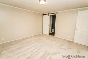 318 E Bellevue St, Stanton, MI 48888 - Photo 11