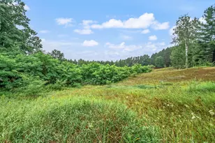10055 8 Mile Rd, Evart, MI 49631 - Photo 21