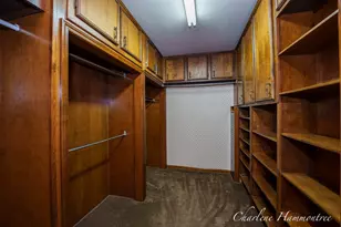 9111 Summit Ave NE, Rockford, MI 49341 - Photo 51