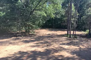 14357 Elk Run, Brethren, MI 49619 - Photo 27