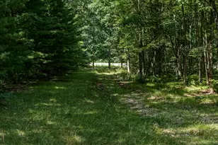 598 N M-37, Baldwin, MI 49304 - Photo 21