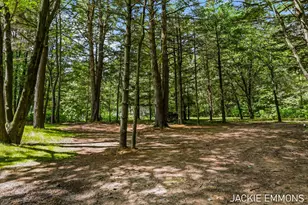 22672 W Kendaville Rd, Pierson, MI 49339 - Photo 67