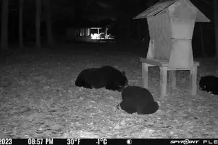 6898 E 5 Mile Rd, Luther, MI 49656 - Photo 19