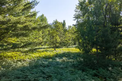 36 N Coe Road, Luther, MI 49656 - Photo 9