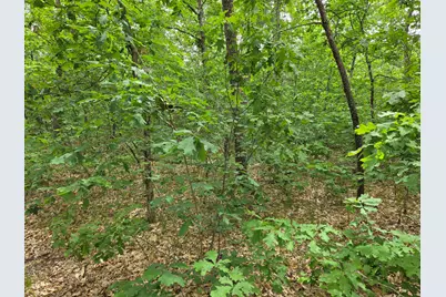 V/L 10-13 W Oliver Road, Baldwin, MI 49304 - Photo 3
