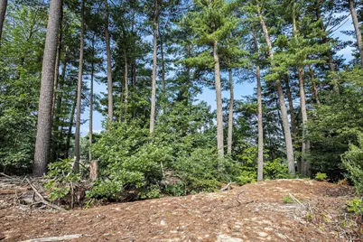 12487 Horseshoe Drive NE, Gowen, MI 49326 - Photo 9