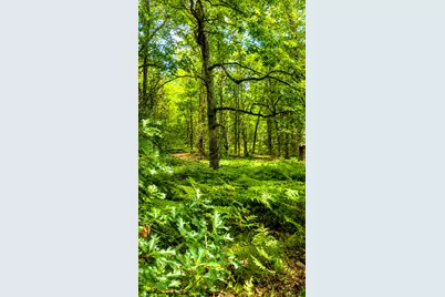 E Hillview Trail, Reed City, MI 49677 - Photo 9