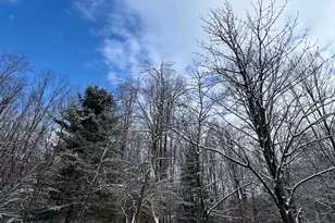 5440 Ridge Trail N, Clarkston, MI 48348 - Photo 65