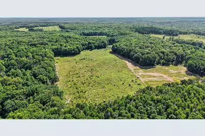 Lot 1 E Bear Paw Drive, White Cloud, MI 49349 - Photo 1