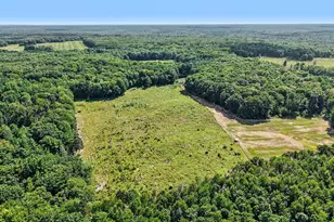 Lot 1 E Bear Paw Dr, White Cloud, MI 49349 - Photo 1