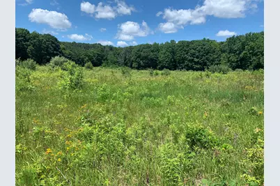 Lot 1 E Bear Paw Drive, White Cloud, MI 49349 - Photo 9