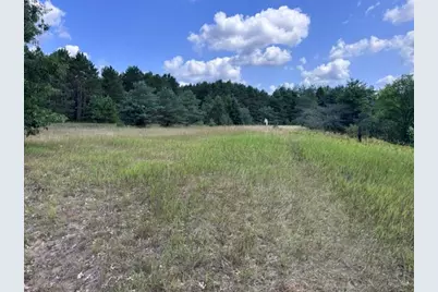 1.5 Acres V/L 170th Avenue, Hersey, MI 49639 - Photo 9