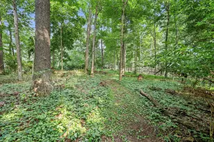 215 Wickenham Dr, Spring Arbor, MI 49283 - Photo 29