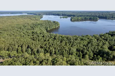 00 Monroe Road, Allegan, MI 49010 - Photo 7