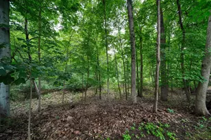 5168 W Bluestone St, Jackson, MI 49201 - Photo 61