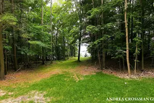 5045 N Ridge Rd, Pentwater, MI 49449 - Photo 81