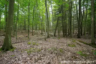 5045 N Ridge Rd, Pentwater, MI 49449 - Photo 69