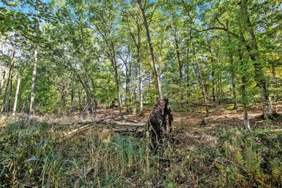 V/L Reeds Lane, Vicksburg, MI 49097 - Photo 17