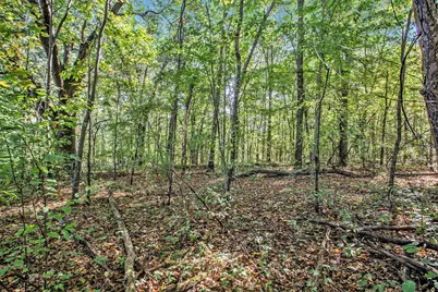V/L Reeds Lane, Vicksburg, MI 49097 - Photo 15