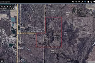 Vl Meridian (M-30) Rd, Sanford, MI 48657 - Photo 1