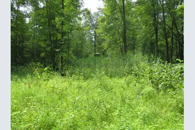 Vl Meridian (M-30) Road, Sanford, MI 48657 - Photo 21