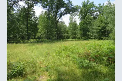 Vl Meridian (M-30) Road, Sanford, MI 48657 - Photo 57