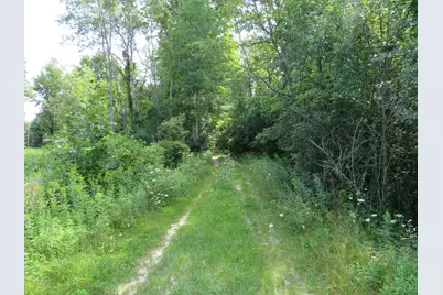 Vl Meridian (M-30) Road, Sanford, MI 48657 - Photo 3