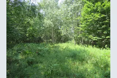 Vl Meridian (M-30) Road, Sanford, MI 48657 - Photo 51