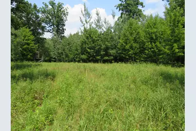 Vl Meridian (M-30) Road, Sanford, MI 48657 - Photo 53