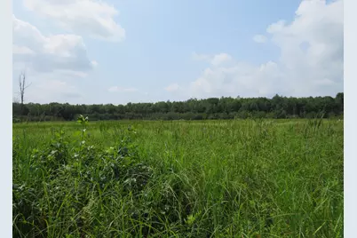 Vl Meridian (M-30) Road, Sanford, MI 48657 - Photo 33