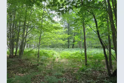 Vl Meridian (M-30) Road, Sanford, MI 48657 - Photo 15