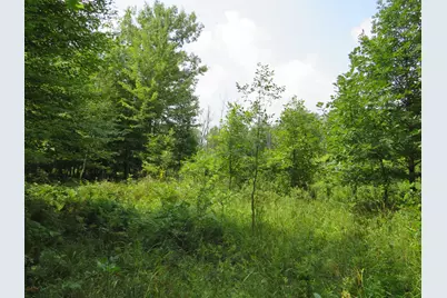 Vl Meridian (M-30) Road, Sanford, MI 48657 - Photo 39