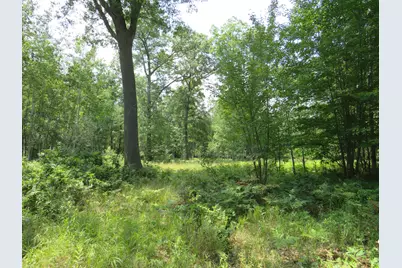 Vl Meridian (M-30) Road, Sanford, MI 48657 - Photo 55