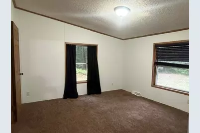2197 E Cedar Street, Newaygo, MI 49337 - Photo 19